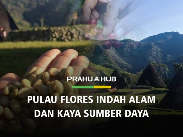 PULAU FLORES INDAH ALAM DAN KAYA SUMBER DAYA