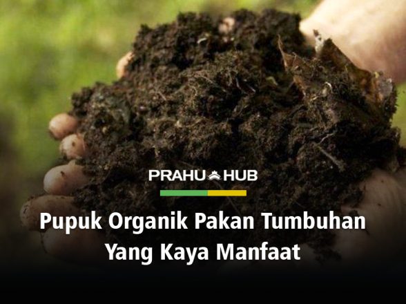 PUPUK ORGANIK PAKAN TUMBUHAN YANG KAYA MANFAAT